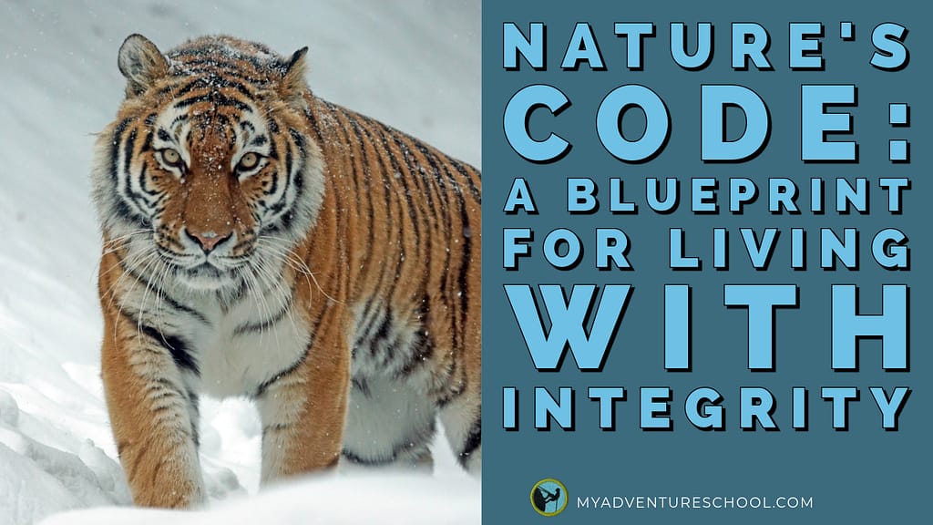 nature's code