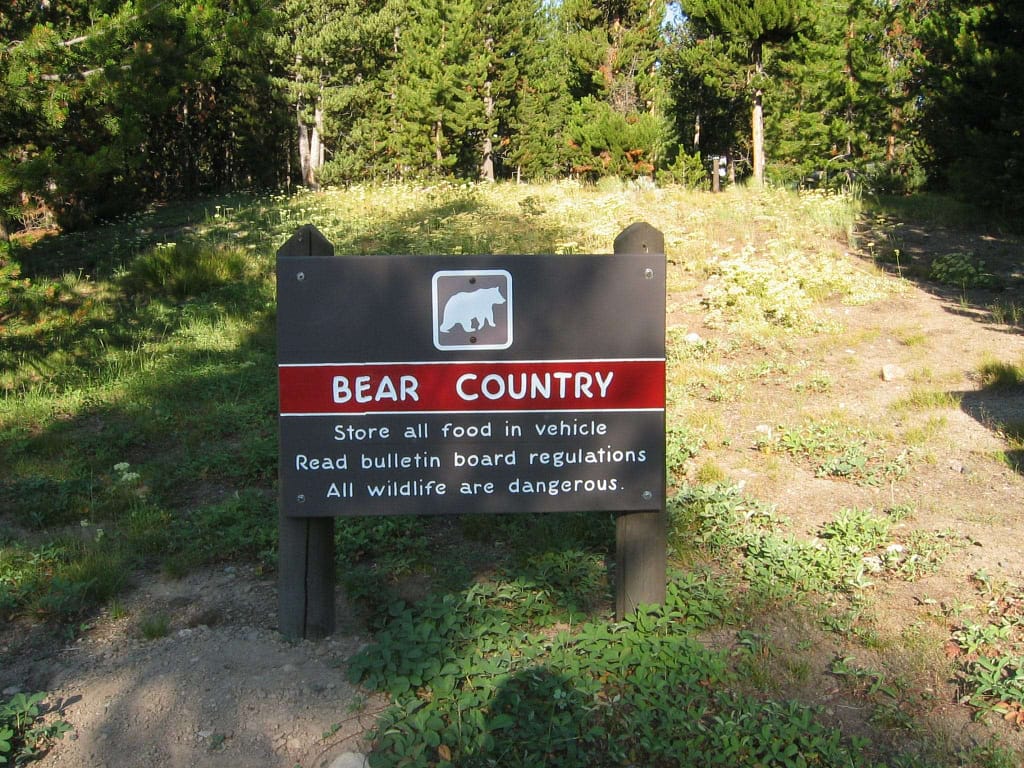 camping in bear country