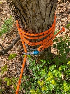 rappelling anchor around a tree